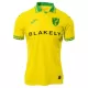 Norwich City Heimtrikot 25/26 für Herren Norwich City Heimtrikot 25/26 für Herren