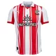 Southampton Heimtrikot 25/26 für Herren Southampton Heimtrikot 25/26 für Herren