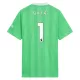 Arsenal Raya 1 Torwart Trikot 25/26 für Herren Grün Arsenal Raya 1 Torwart Trikot 25/26 für Herren Grün