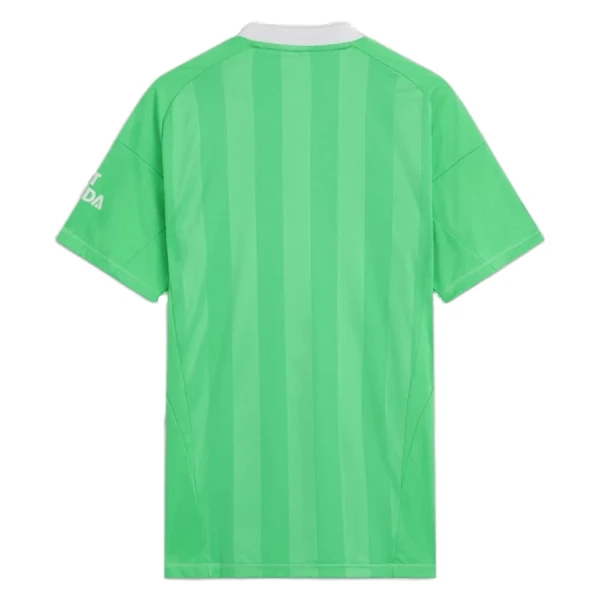 Arsenal Torwart Trikot 25/26 für Herren Grün