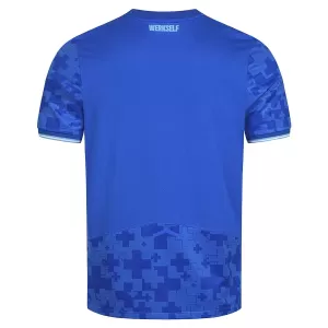 Bayer 04 Leverkusen Ausweichtrikot 25/26 für Herren