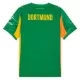 Borussia Dortmund Torwart Trikot 25/26 für Herren Grün