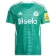 Newcastle United Auswärtstrikot 25/26 für Herren Newcastle United Auswärtstrikot 25/26 für Herren