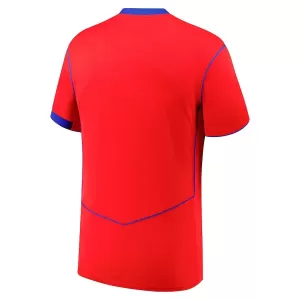 Paris Saint-Germain Ausweichtrikot 25/26 für Herren