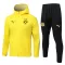 Borussia Dortmund Trainingsjacke mit Kapuze 25/26 für Herren Gelb