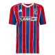 Colo-Colo Ausweichtrikot 25/26 für Herren