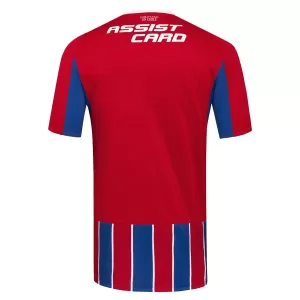 Colo-Colo Ausweichtrikot 25/26 für Herren