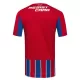 Colo-Colo Ausweichtrikot 25/26 für Herren