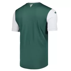 Hibernian Heimtrikot 25/26 für Herren