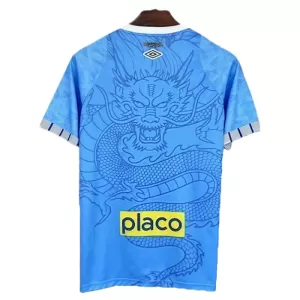 Santos FC Trikot 25/26 Dragon für Herren Blau