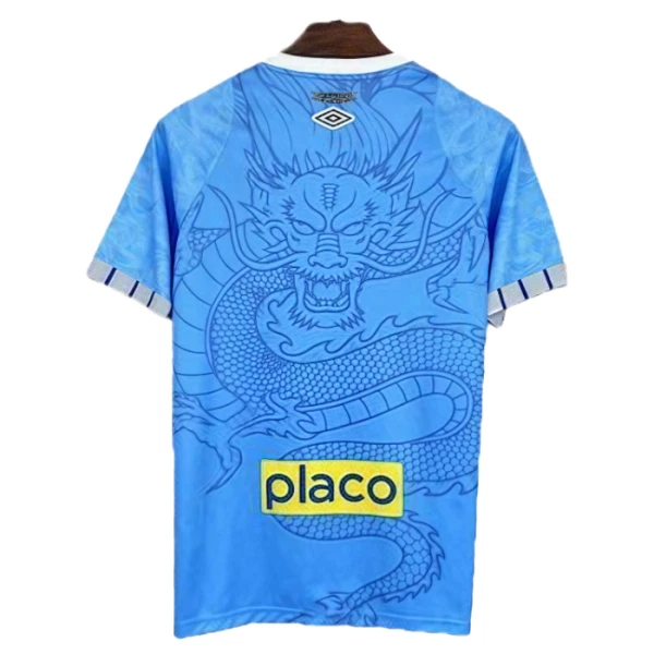 Santos FC Trikot 25/26 Dragon für Herren Blau