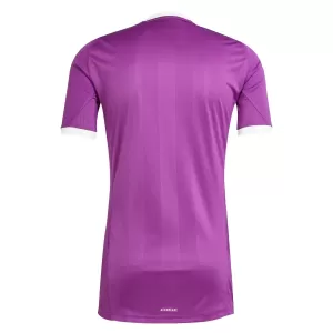 Aston Villa Torwart Trikot 25/26 für Herren Lila