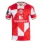 FSV Mainz 05 Trikot 25/26 für Herren (Speziell)