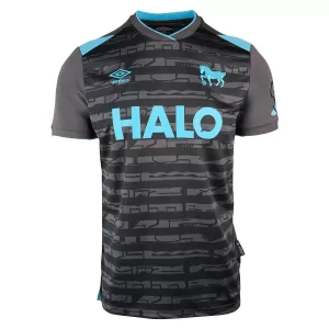 Ipswich Town Ausweichtrikot 25/26 für Herren