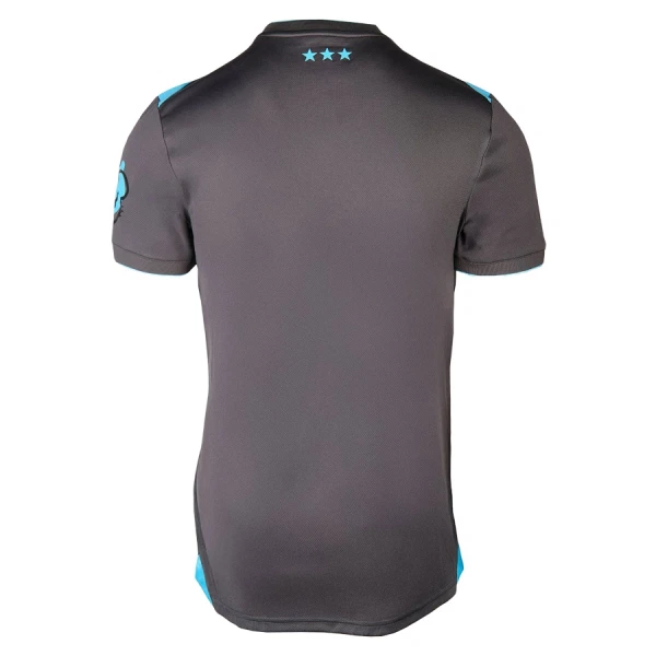 Ipswich Town Ausweichtrikot 25/26 für Herren