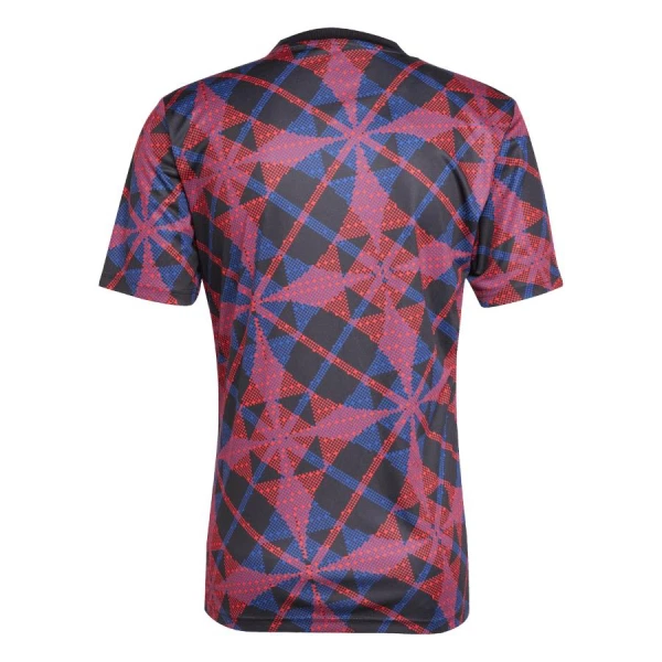 Olympique Lyonnais Pre-Match Trikot 25/26 für Herren