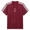 Arsenal Terrace Icons Trikot 25/26 für Herren Rot