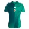 Nordirland Heimtrikot WM 2026 für Herren