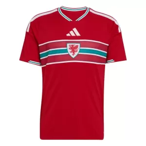 Wales Heimtrikot WM 2026 für Herren