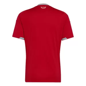Wales Heimtrikot WM 2026 für Herren