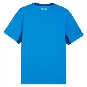 Island Heimtrikot WM 2026 für Herren