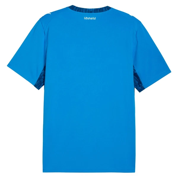 Island Heimtrikot WM 2026 für Herren