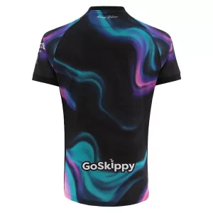 Bristol City Ausweichtrikot 25/26 für Herren