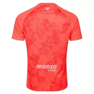 Coventry City Auswärtstrikot 25/26 für Herren