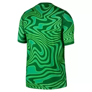 Brasilien Torwart Heimtrikot WM 2026 für Herren Grün