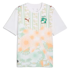 Elfenbeinküste Auswärtstrikot WM 2026 für Herren