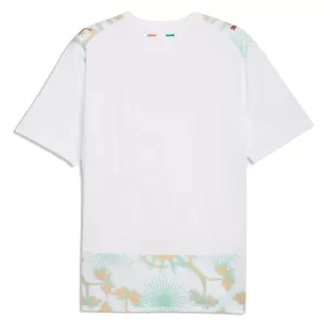 Elfenbeinküste Auswärtstrikot WM 2026 für Herren