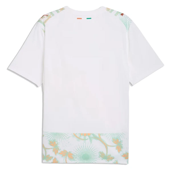 Elfenbeinküste Auswärtstrikot WM 2026 für Herren