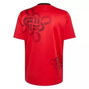 Manchester United Cultural Story Trikot 25/26 für Herren (Speziell)