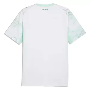 Österreich Auswärtstrikot WM 2026 für Herren