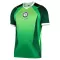 Nigeria Heimtrikot 26/27 für Herren