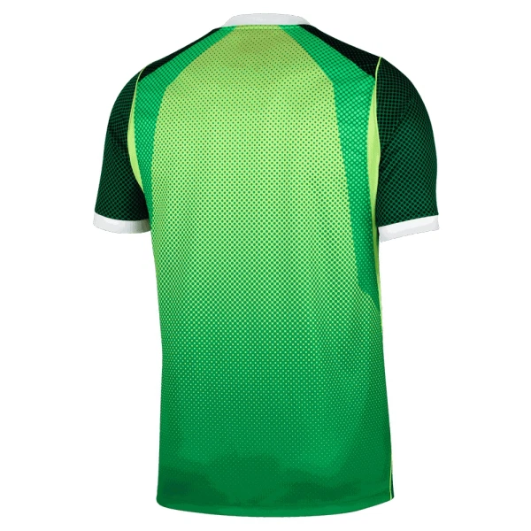 Nigeria Heimtrikot 26/27 für Herren