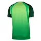 Nigeria Heimtrikot 26/27 für Herren