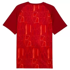 Ghana Pre-Match Trikot WM 2026 für Herren