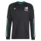 Mexiko Ausweichtrikot WM 2026 Langarm für Herren