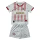 PSV Eindhoven 4.Trikot 25/26 für Kinder (Speziell) PSV Eindhoven 4.Trikot 25/26 für Kinder (Speziell)