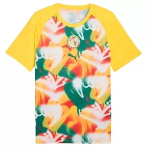 Senegal Pre-Match Trikot WM 2026 für Herren