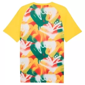 Senegal Pre-Match Trikot WM 2026 für Herren