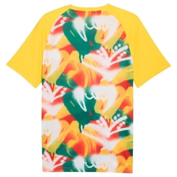 Senegal Pre-Match Trikot WM 2026 für Herren