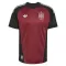 Spanien Torwart Trikot WM 2026 für Herren Rot