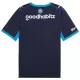 PSV Eindhoven Ausweichtrikot 26/27 für Herren