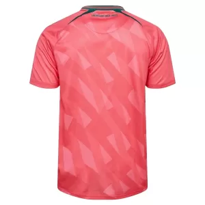 Werder Bremen Ausweichtrikot 26/27 für Herren