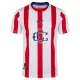 CD Guadalajara Trikot 120. Jahrestag 25/26 für Herren CD Guadalajara Trikot 120. Jahrestag 25/26 für Herren