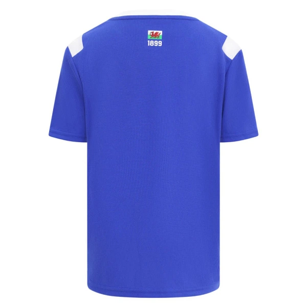 Cardiff City Heimtrikot 26/27 für Herren