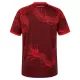 Internacional Ausweichtrikot 26/27 für Herren
