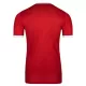 VfL Wolfsburg Ausweichtrikot 26/27 für Herren